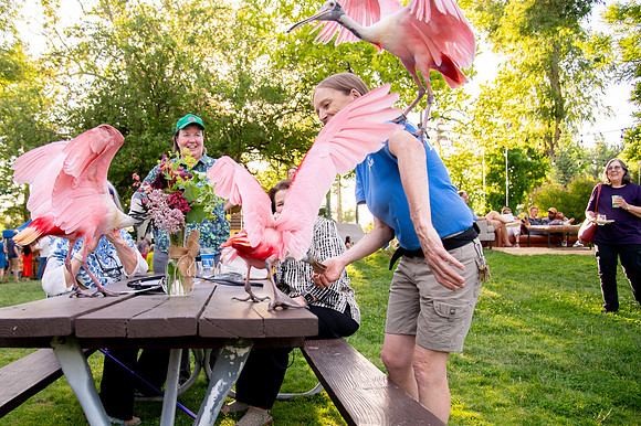 Ready to Hatch – Tracy Aviary’s Signature Spring Fundraise5982