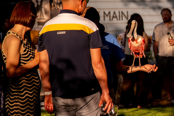 Ready to Hatch – Tracy Aviary’s Signature Spring Fundraise6052
