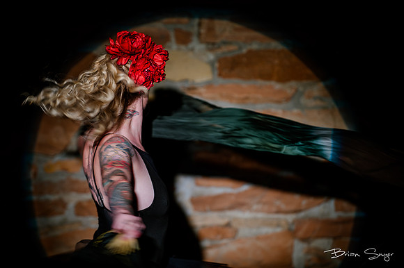 Birdlesque56636