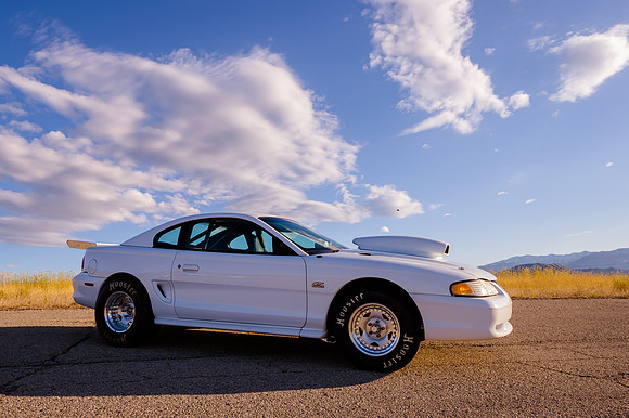 Race Car Mustang-0812-2