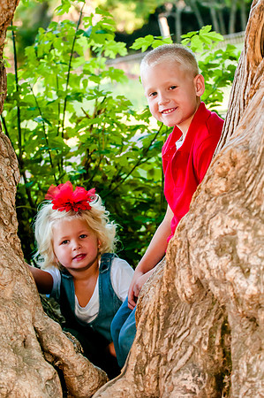 Framed in a tree