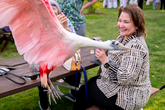 Ready to Hatch – Tracy Aviary’s Signature Spring Fundraise5930