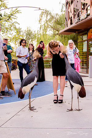 Birdlesque55839