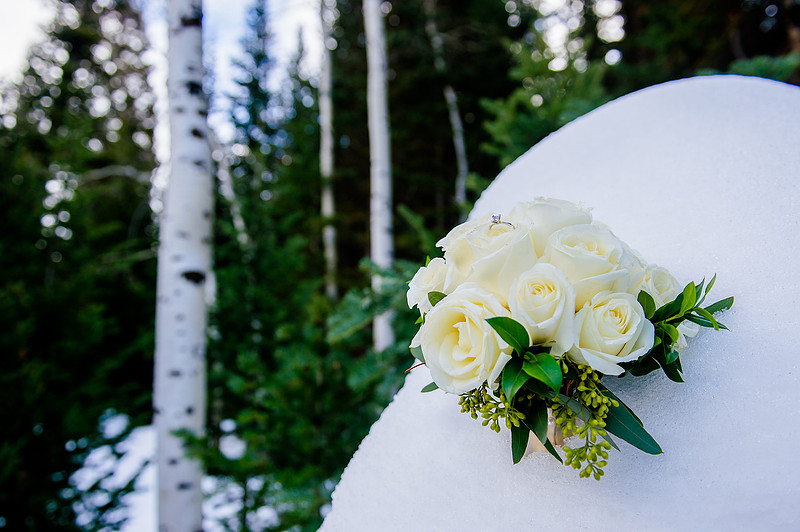 First Look Blake and Shauna-4634