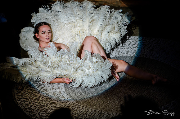 Birdlesque56094