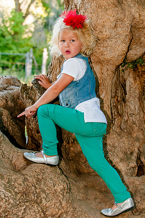 Candid tree climbing