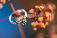 Experience the Romance and Charm of a Modern Fairytale Wedding at Millcreek Inn