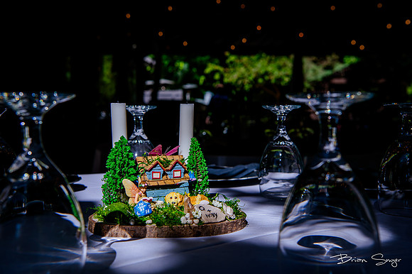 Experience the Romance and Charm of a Modern Fairytale Wedding at Millcreek Inn