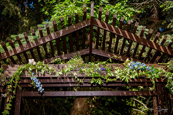 Experience the Romance and Charm of a Modern Fairytale Wedding at Millcreek Inn