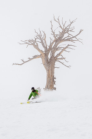 3-31-16 Snowbasin Ski-6650