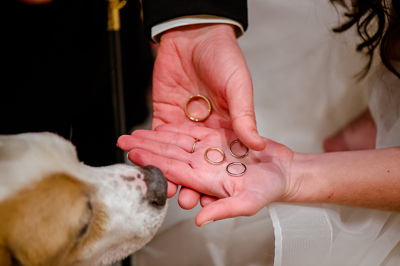 Glenn and Jenna wedding day 12-30-16-2277
