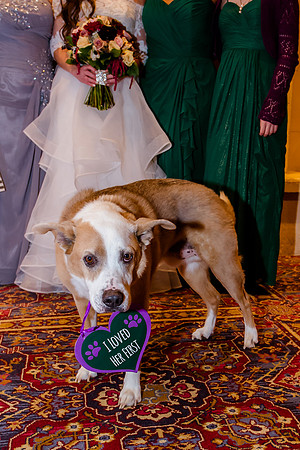Glenn and Jenna wedding day 12-30-16-2435