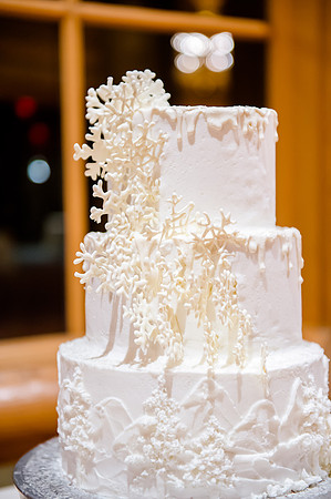 Glenn and Jenna wedding day 12-30-16-2996