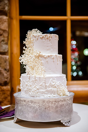 Glenn and Jenna wedding day 12-30-16-3003