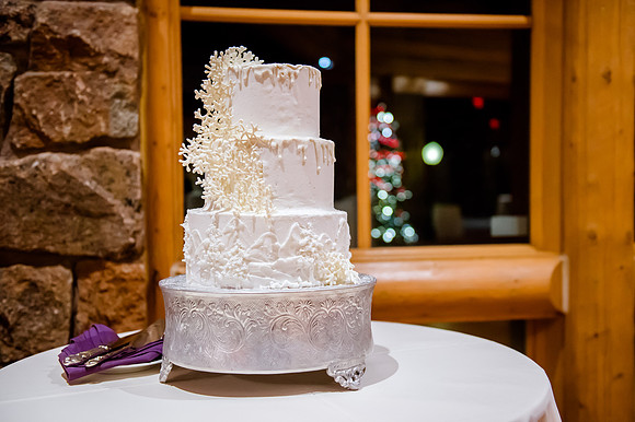 Glenn and Jenna wedding day 12-30-16-3006