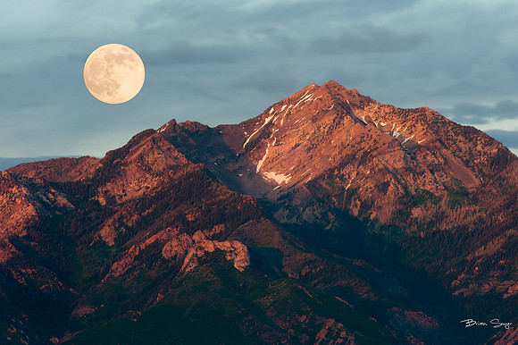 Brian Smyer's 2013 editor's picks-1207