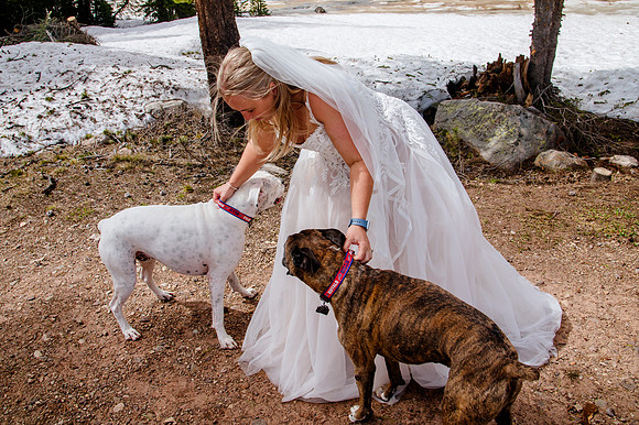 now in June: Megan Collins and Seth Underwood's Mountain Wedding