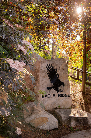 Ready to Hatch – Tracy Aviary’s Signature Spring Fundraise5637