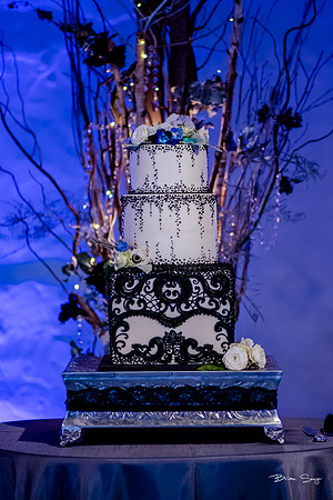 George and Jana's wedding at Monaco Hotel and Pierpont Place-2376