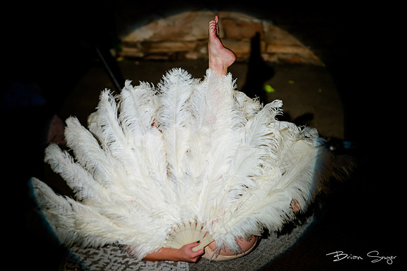Birdlesque56073