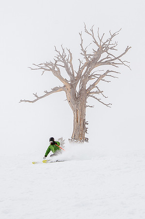 3-31-16 Snowbasin Ski-6650