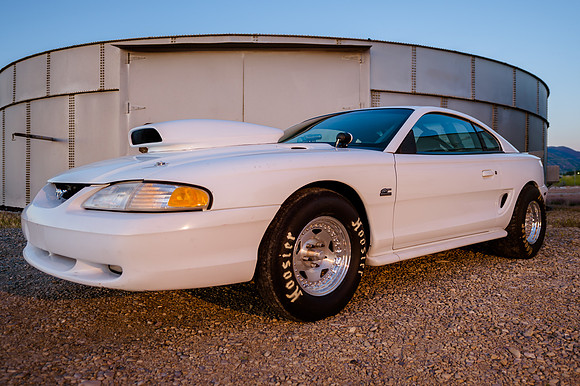 Race Car Mustang-0851