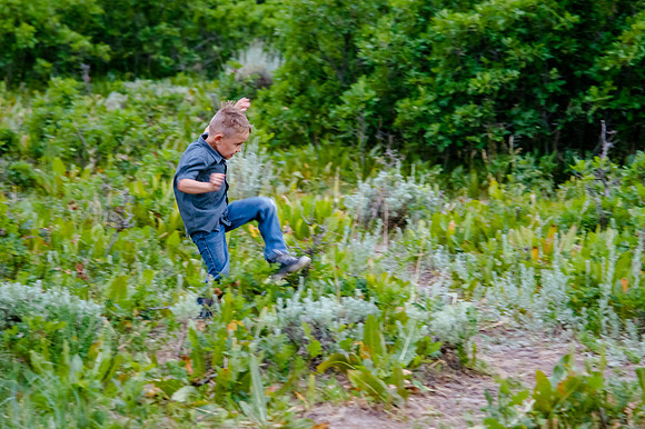 Provo Canyon 6-25-20208061