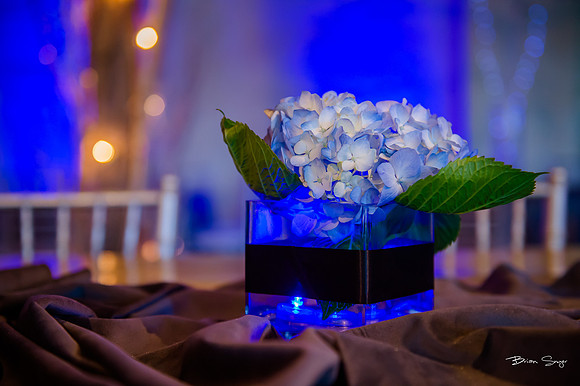 George and Jana's wedding at Monaco Hotel and Pierpont Place-1421