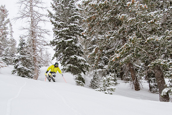 Phil Cannon at Snowbasin 1-12-17-9057