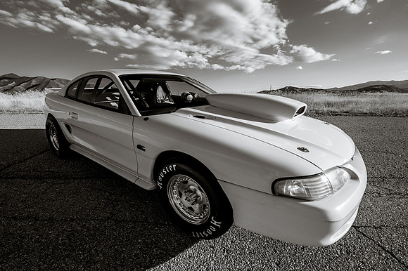 Race Car Mustang-0819