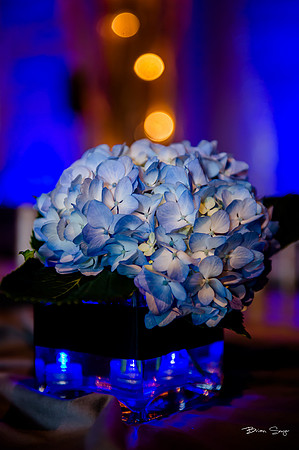 George and Jana's wedding at Monaco Hotel and Pierpont Place-2176