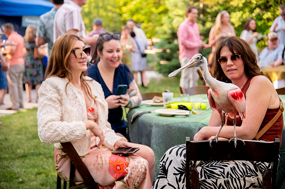 Ready to Hatch – Tracy Aviary’s Signature Spring Fundraise5855