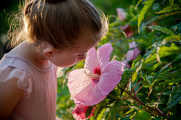 Golden Hour Family Portraits at the International Peace Gardens – The Boss Family962