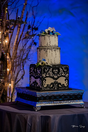 George and Jana's wedding at Monaco Hotel and Pierpont Place-2482