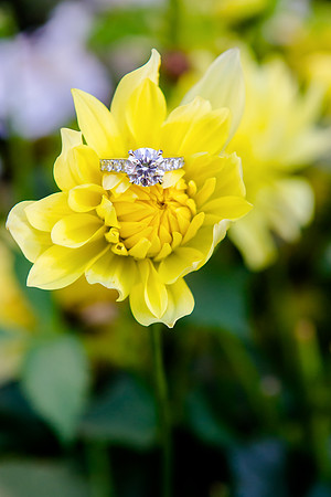 Barnes Wedding at Grand America-1648