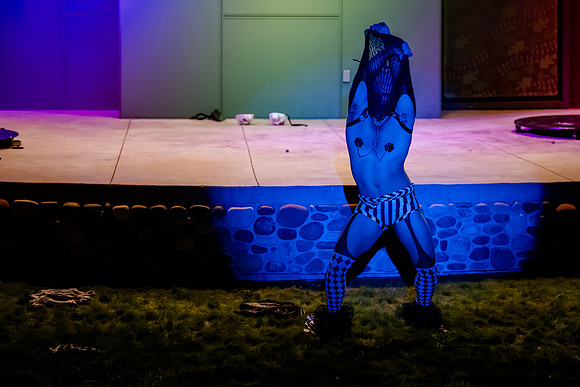Birdlesque Takes Flight: Burlesque Meets Nature at Tracy Aviary’s Fundraising Cabaret