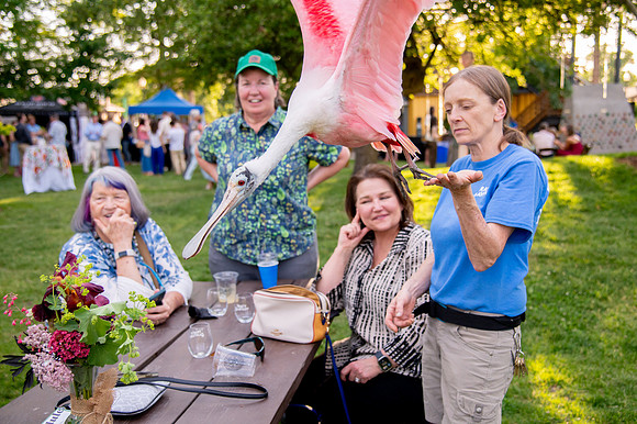 Ready to Hatch – Tracy Aviary’s Signature Spring Fundraise5976