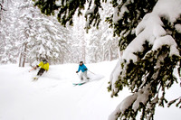Brighton Powder 1-4-17-8055