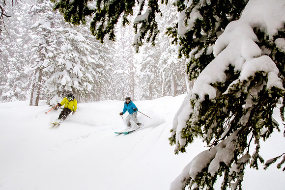 Brighton Powder 1-4-17-8055