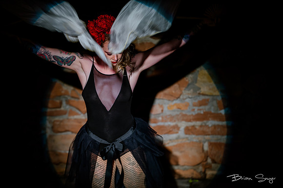 Birdlesque56614