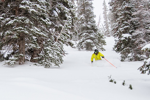 Phil Cannon at Snowbasin 1-12-17-8895