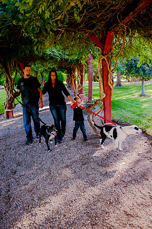 Family Pictues at the International Peace Gardens slc,utah-9739
