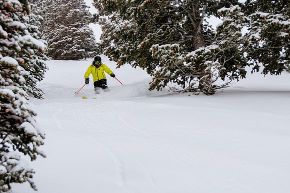 Phil Cannon at Snowbasin 1-12-17-8750
