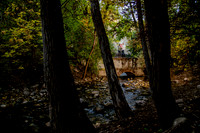 Boss family portraits at Memory Grove and Capitol