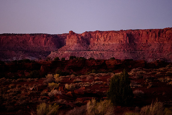 _DSC7274