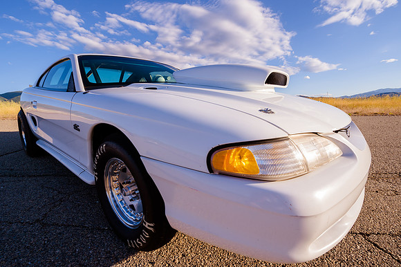 Race Car Mustang-0825-2