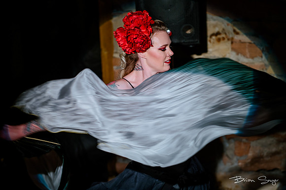 Birdlesque56620