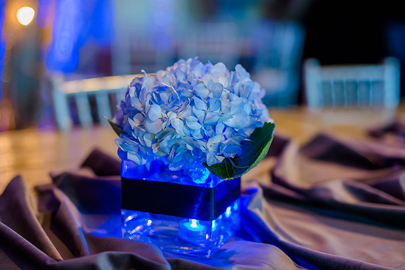 George and Jana's wedding at Monaco Hotel and Pierpont Place-0078