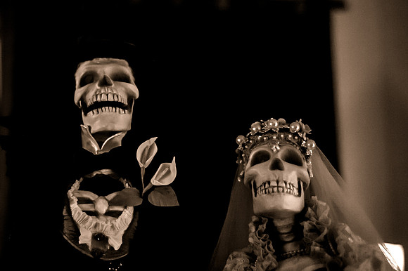 Herrmann Halloween-1350