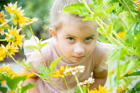 Golden Hour Family Portraits at the International Peace Gardens – The Boss Family1346